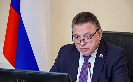 В Совфеде раскритиковали идею отслеживания авиадебоширов в аэропортах