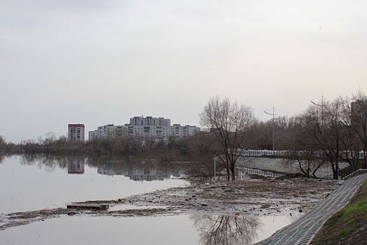 В Кургане начал снижаться уровень реки Тобол