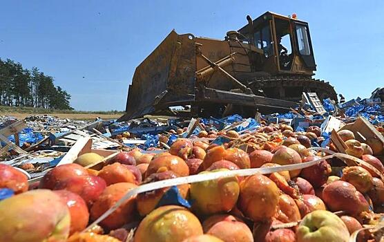 В Кирове раздавили 800 кг санкционных овощей и фруктов: уничтожены грибы, перцы и персики из Литвы