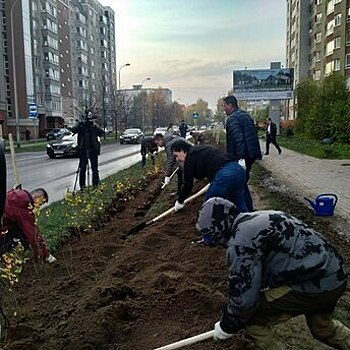 «Приствольные «квадраты» сегодня зияют пустотой»: Дятлова — о первом этапе осенней высадки зелени в Калининграде
