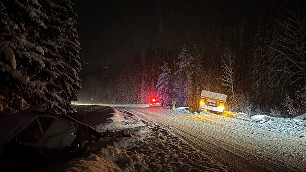 В Удмуртии водитель УАЗа столкнулся с КамАЗом