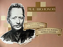 Мурал в честь Михаила Шолохова открыли в одной из школ Новочеркасска