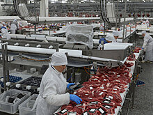 В России могут поставить два новых рекорда