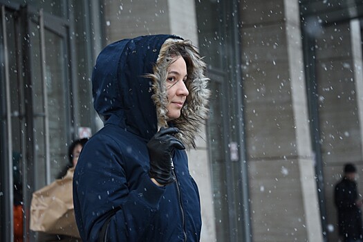Снег, гололедица и до двух градусов тепла ожидаются в Москве 3 декабря