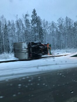 На Парашютной улице в Петербурге "Газель" вылетела в кювет