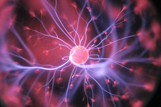 Биологи раскрыли важную роль «шума» в нейронах в работе всей нервной системы