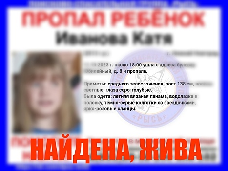 Пропавшую в Нижнем Новгороде десятилетнюю девочку нашли живой