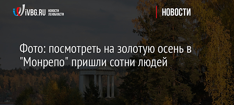 Фото: посмотреть на золотую осень в "Монрепо" пришли сотни людей