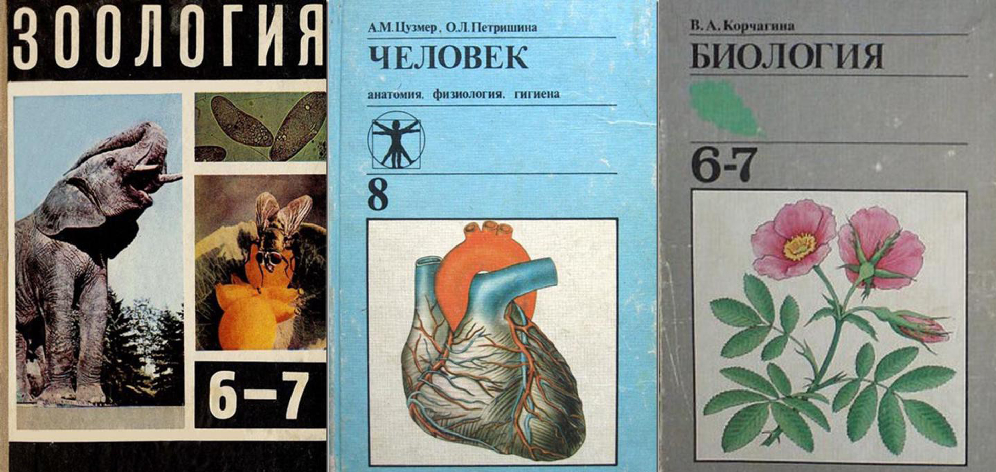 Биология 5 класс учебник СССР