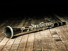 Кларнетиста ансамбля песни и пляски "Красная Звезда" обманули при покупке инструмента