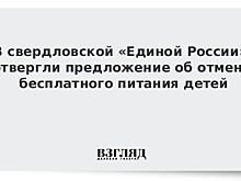 ЕР не согласна с предложением екатеринбургского депутата отменить бесплатное питание для школьников
