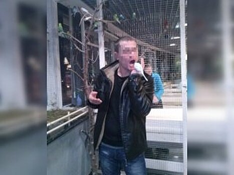 «Не убил педофила, а утилизировал»: депутат Госдумы высказался о нашумевшем убийстве в Уфе