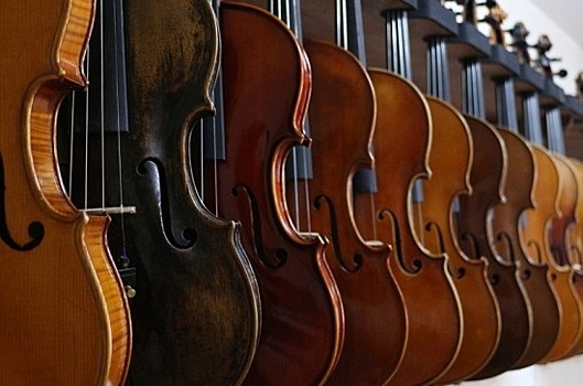 В Правительстве одобрили отмену госпошлины при временном вывозе дорогостоящих скрипок