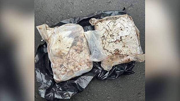 Полицейские задержали в Москве подозреваемую в покушении на сбыт около 2 кг синтетического наркотического средства