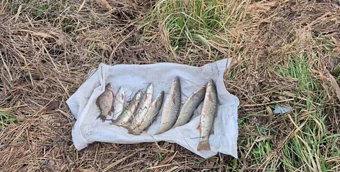 Сразу пятерых дончан задержали за браконьерство на Дону и Койсуге