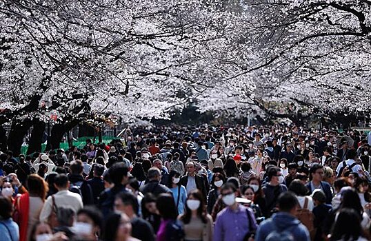 «Заметно больше людей, на улицах, в магазинах, в парках». Япония возвращается к обычной жизни?