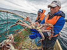 Пора по крабам