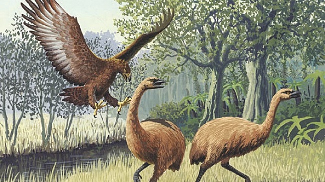 В Австралии обнаружили останки гигантских орлов возрастом более 50 000 лет