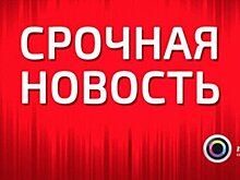 Работодатели отдают предпочтение женщинам - исследование