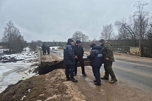 В Новгородской области частично обрушился мост
