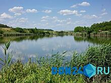 Специалисты минприроды зафиксировали гибель рыбы в пруду Ростова