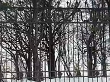 Ограду нижегородской «Швейцарии» восстановят с наступлением тепла