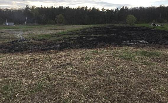 В Курской области за сутки 47 раз горела сухая трава