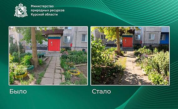 В Курске Минприроды добилось ликвидации клумб из покрышек