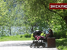 Биолог рассказала, можно ли доверять обработке парков от клещей