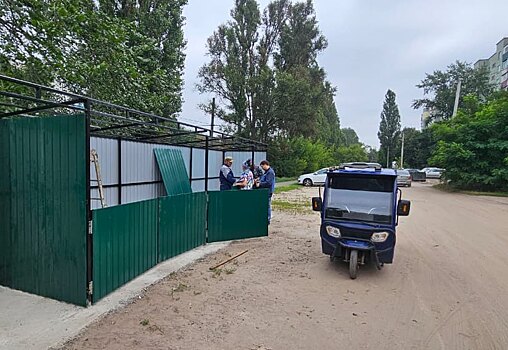 Дворы зарастают бурьяном