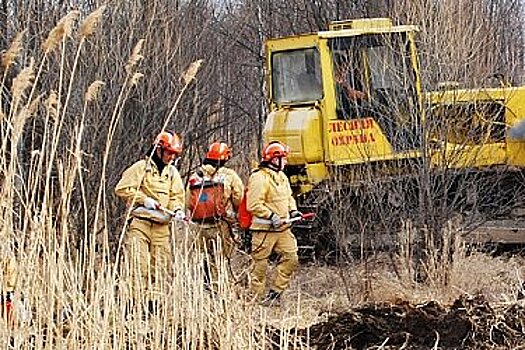 В Хабаровском крае не осталось лесных пожаров