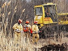 В Хабаровском крае не осталось лесных пожаров