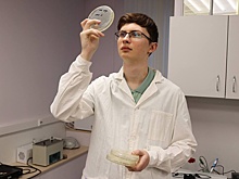 Школьник открыл бактерию, которая борется с грибками