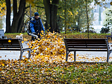 Теракт в Белгороде, пожар на Сергеева и мёртвый олень: 8 событий, которые калининградцы обсуждали на выходных