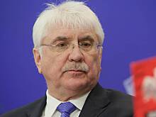 В России высказались о принципиальности одного из пунктов мирного плана