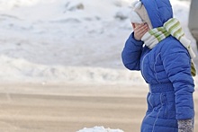 СК проверяет информацию о водителе маршрутки, высадившем школьницу в мороз