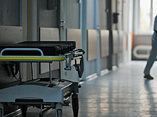 В Новосибирской области за сутки от ковида умерли семь человек