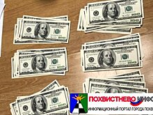 В Тольятти сожитель украл у женщины 14 тысяч долларов США