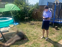 Сторож застрелил садовода в Нижегородской области