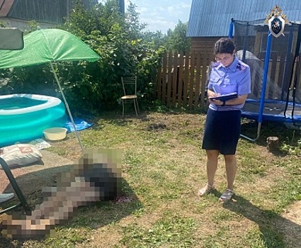 Сторож застрелил садовода в Нижегородской области