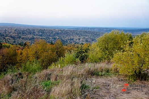 Тайна исчезновения Усольцевых: почему старшая дочь главы семьи хранит молчание