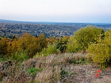 Тайна исчезновения Усольцевых: почему старшая дочь главы семьи хранит молчание