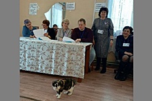 Новосибирский избирком рассказал о животных-талисманах