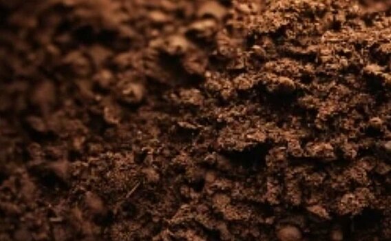 Что означают остатки гербицидов в почве