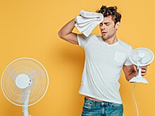 Стало известно, где жители Кировской области могут отдыхать летом, оставаясь на связи