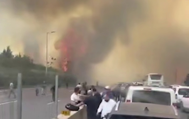 В Израиле вспыхнули масштабные лесные пожары