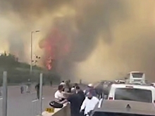 В Израиле вспыхнули масштабные лесные пожары