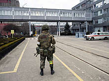 Власти Запорожской области намерены сохранить два государственных языка