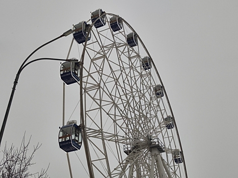 В парке «Динамо» в Хабаровске планируют установить колесо обозрения