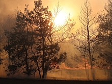 МЧС объявило чрезвычайную пожароопасность в 10 районах Волгоградской области